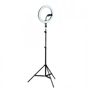 Ring light de 26cm com suporte para celular montado em um tripé preto de dois metros.