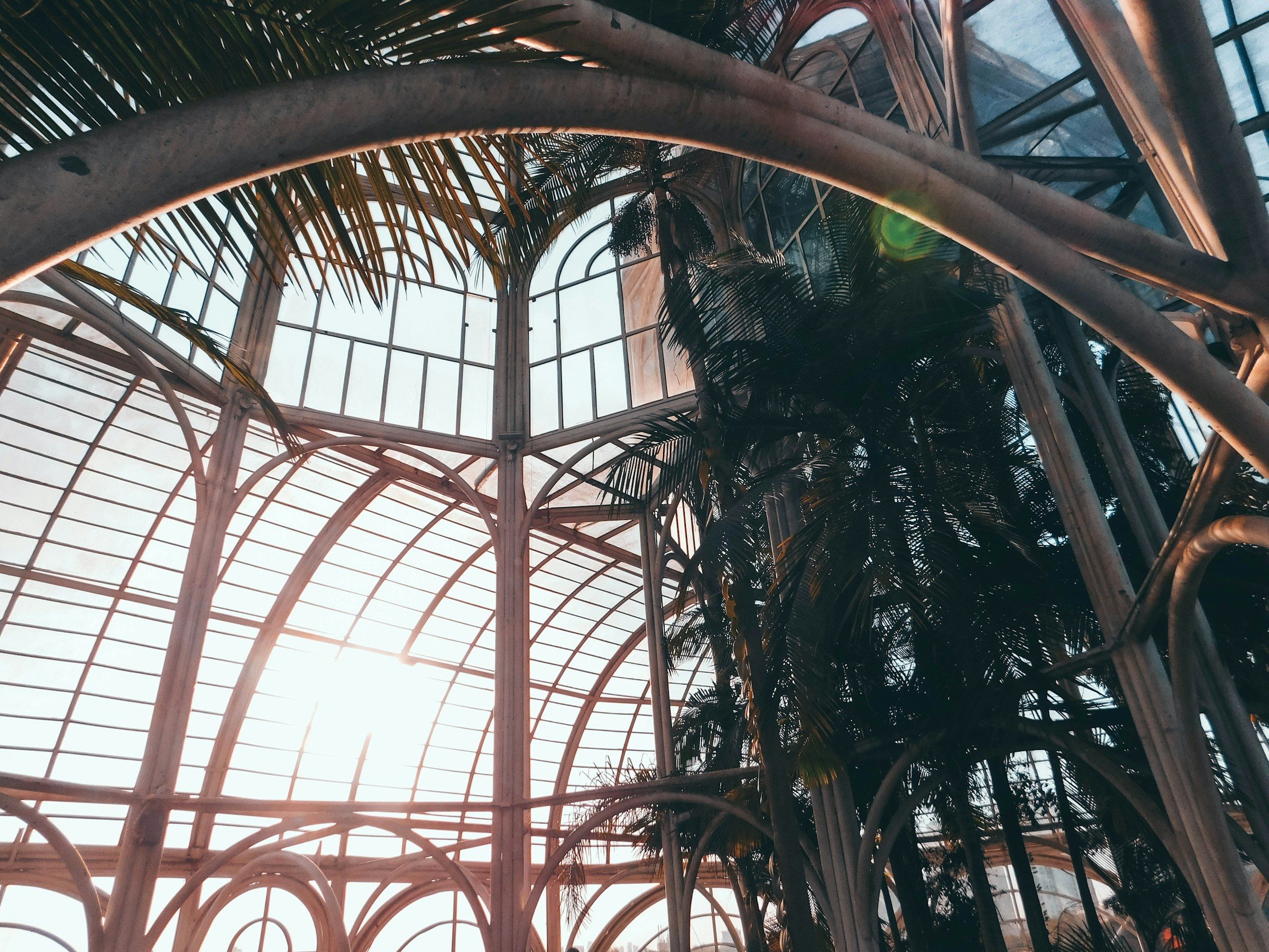 Interior da estufa do Jardim Botânico de Curitiba com estrutura de ferro e vidro.